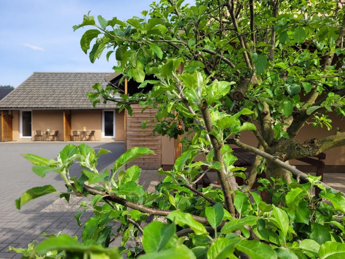 Apartmany Dolosin Velké Losiny Exterior foto